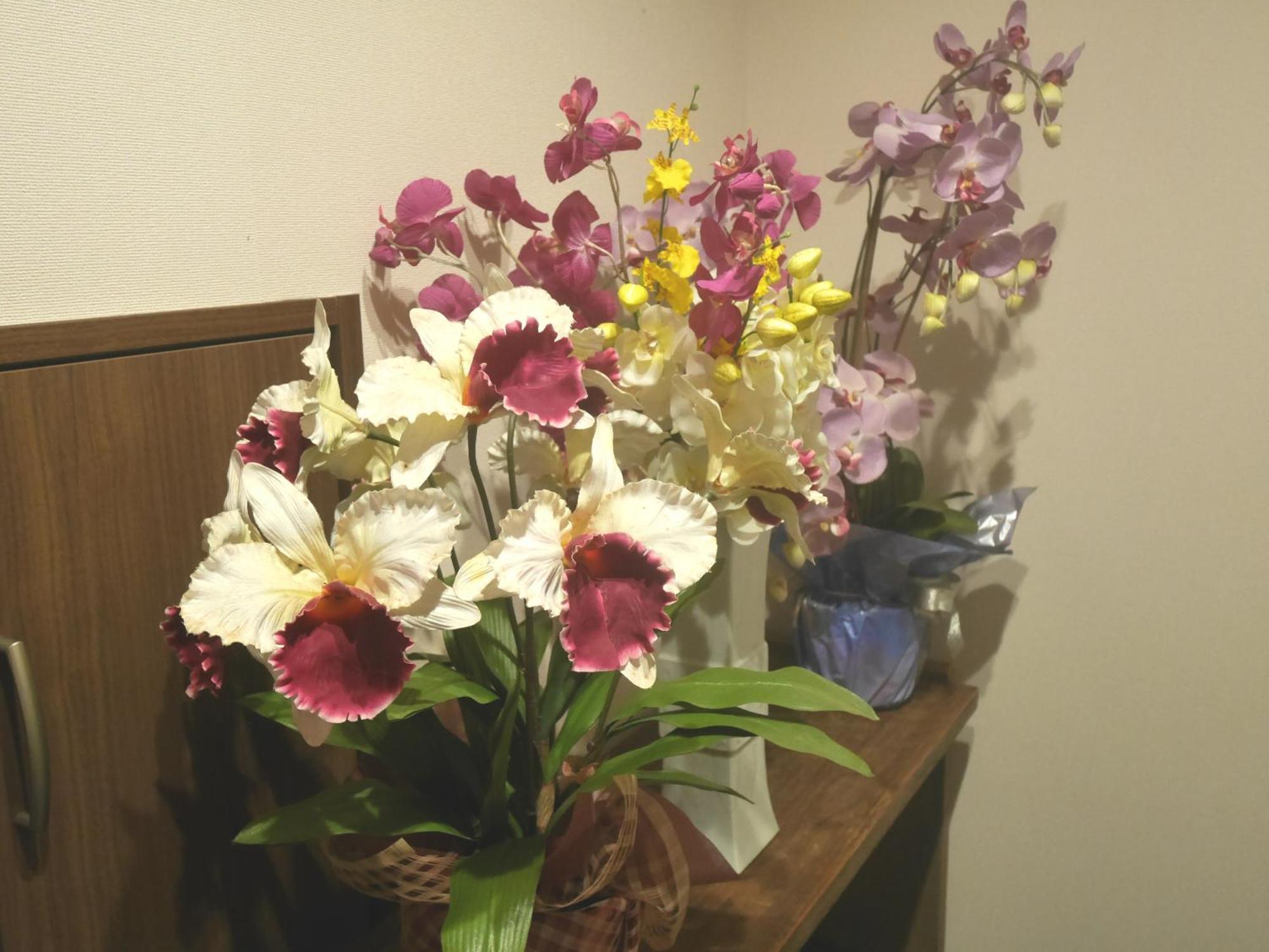 Guesthouse Grande今宮駅前 Ōsaka Extérieur photo